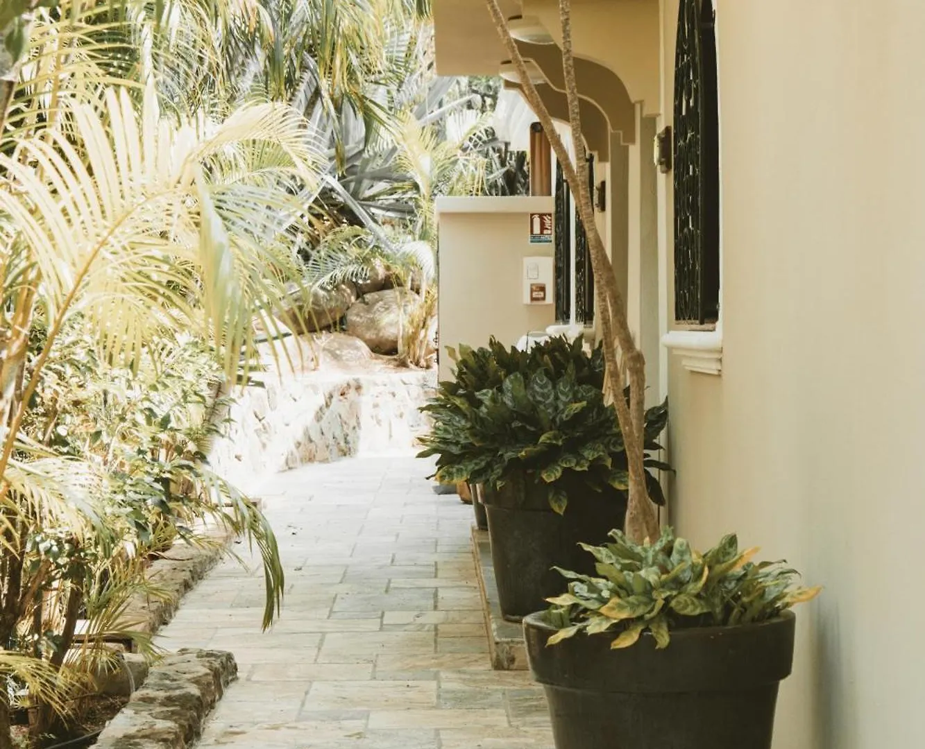 La Villa Hibiscus, Saint Martin Cul de Sac Guest house